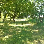 Owocowy Samotwór