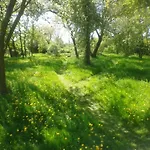 Owocowy * Samotwór