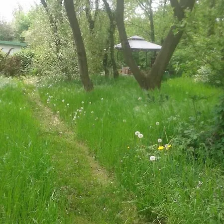 Owocowy