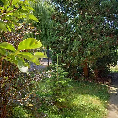 Owocowy Tatil Evi Samotwór