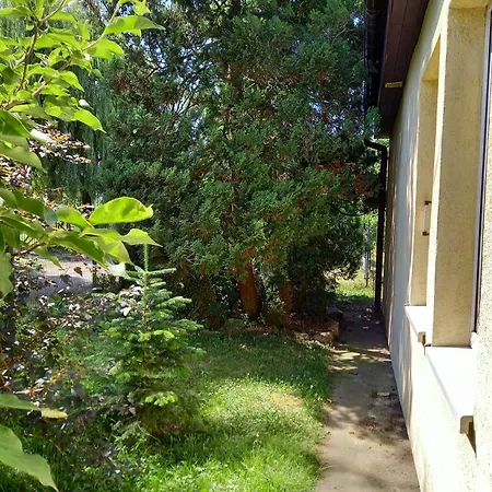 Owocowy Samotwór